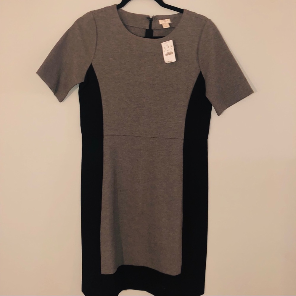 NWT J. CREW Dress